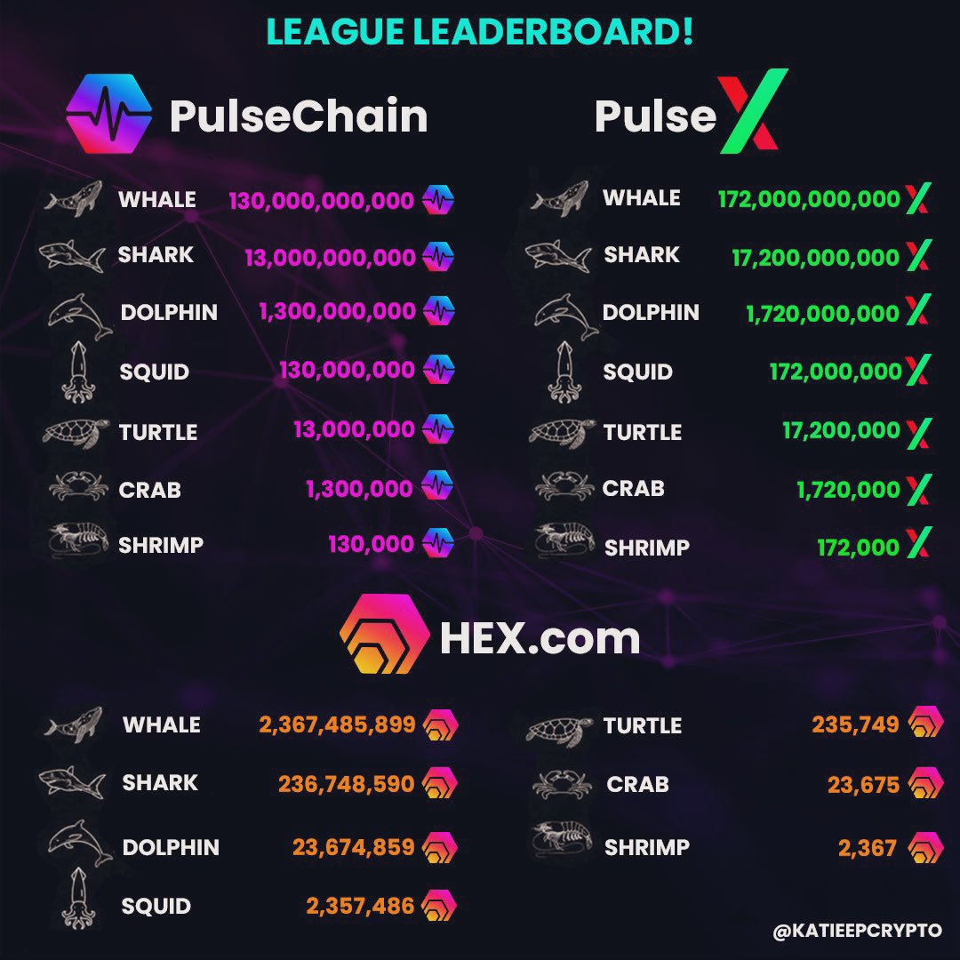 OptimusKevTron1's tweet photo. I hope you’re still stacking and DCAing!

Now’s your chance to become a Turtle-Squid-Dolphin. 

It may not seem like it now, but these prices won’t be this low forever. https://t.co/5hHStOg8ey