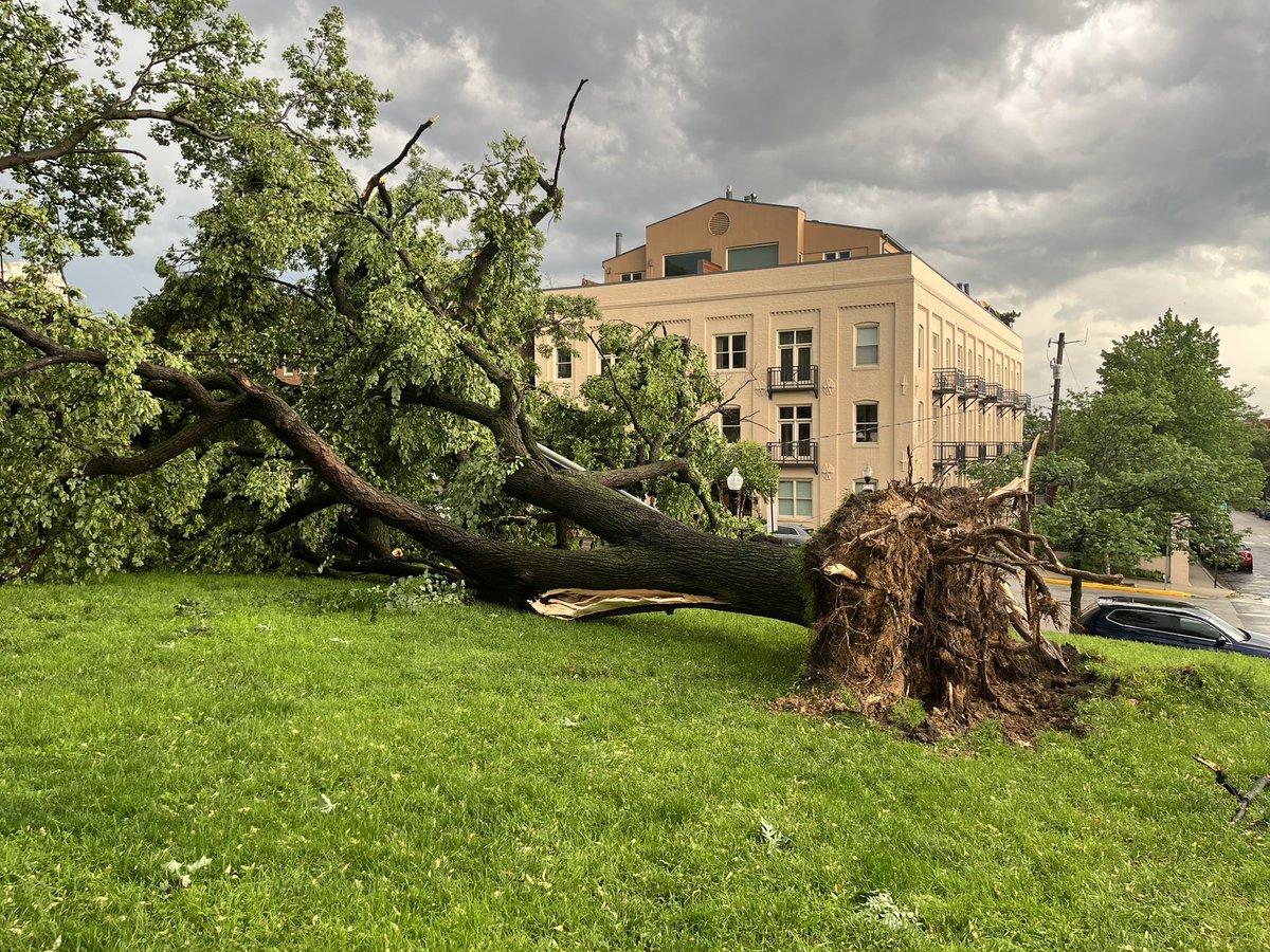 That storm was fast and furious… take a look at these toppled trees near Federal Hill Park⬇️
<a href="/FOXBaltimore/">FOX Baltimore</a>
