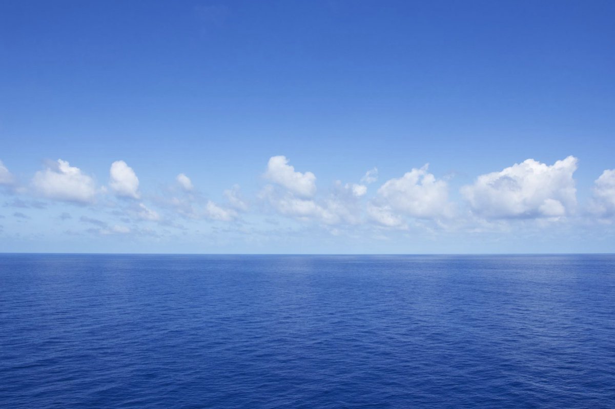 Derek J. Grossman tweet media