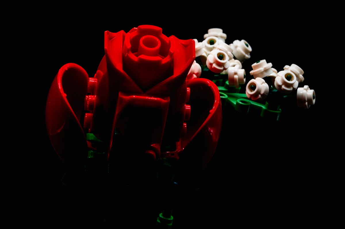 BubbaArtwork's tweet photo. Bouquet of Roses
LEGO Botanical Collection: #legobotanicals #legobotanicalcollection #legoflower #legoplant #legos #legophotography #AFOL #lego #legoart #legopic #legoaddict https://t.co/bQHMmuhIF0