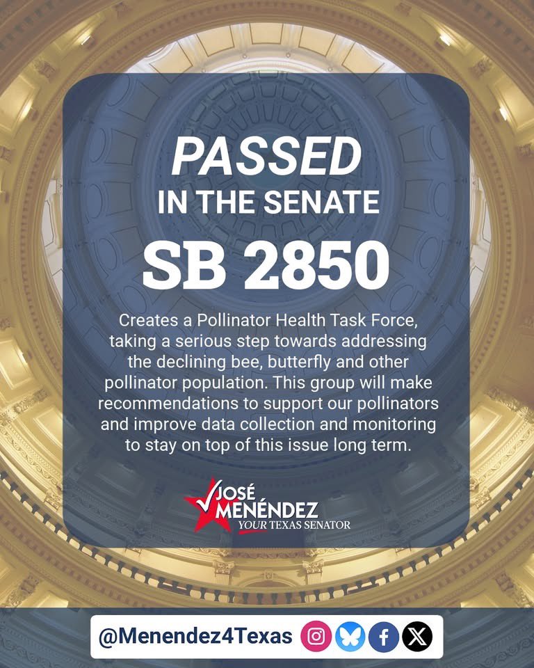 Menendez4Texas's tweet photo. Happy to pass #SB2850 in the Senate! SB 2850 creates a Pollinator Health Task Force, taking a serious step towards addressing the declining bee, butterfly &amp; other pollinator population. This group will make recommendations to support

🧵
#txlege #bees #pollinators #TexasBeeworks https://t.co/y0zWSSf0S1