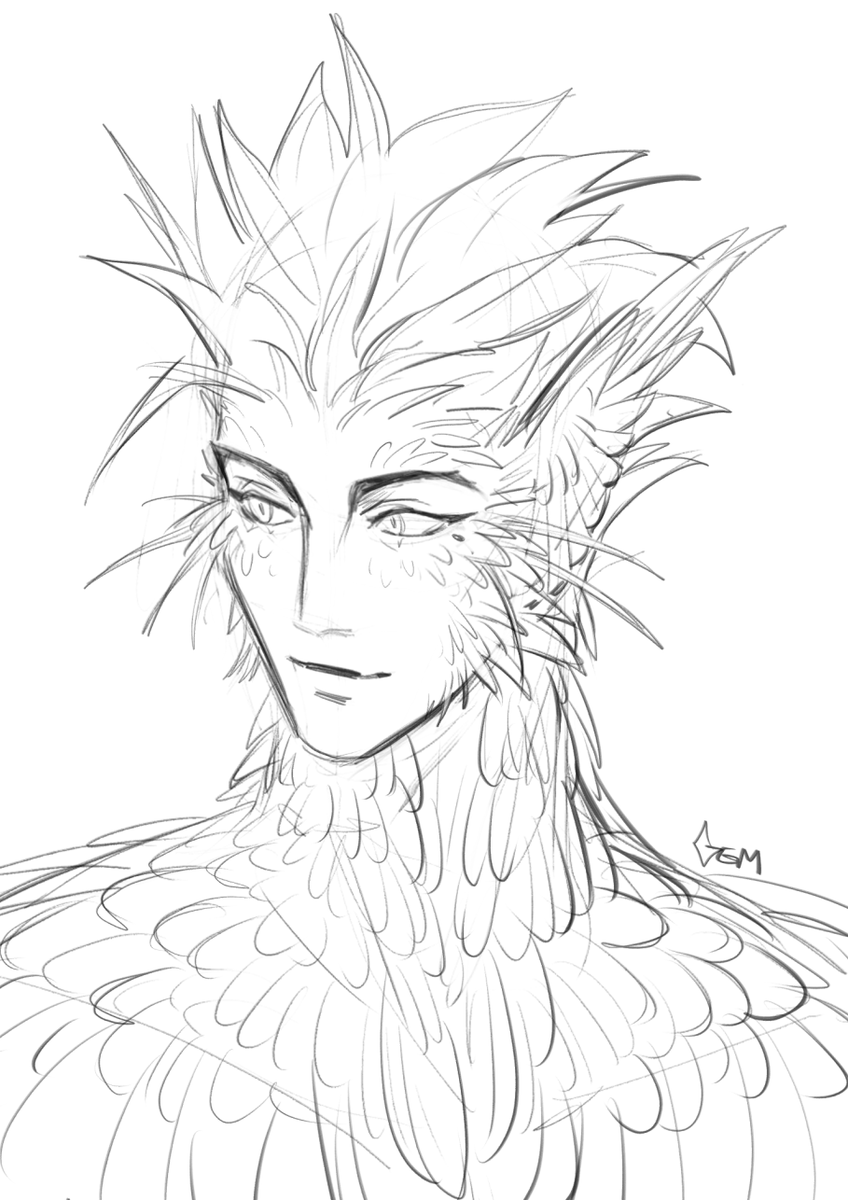 feathers feathers feathers