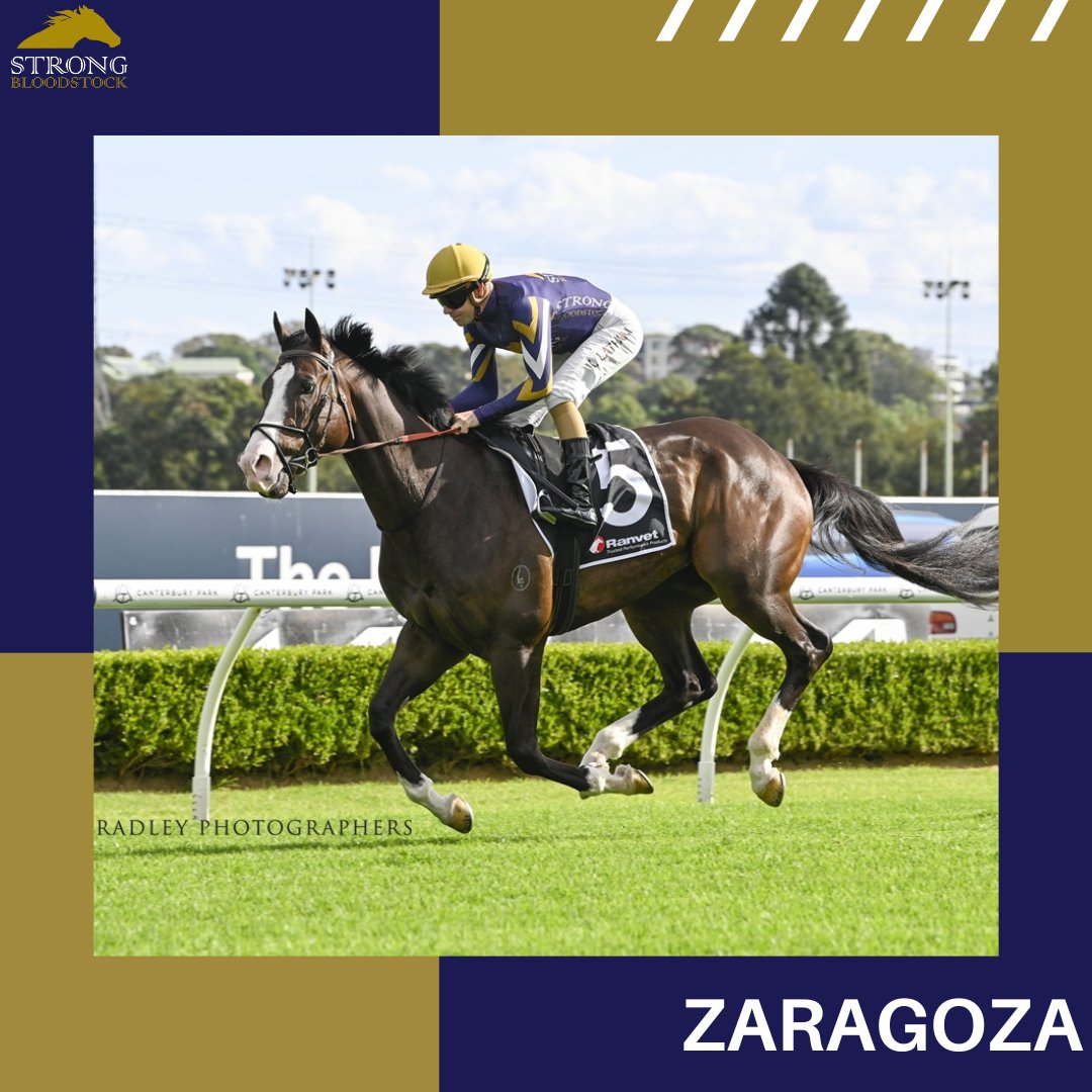 Strong Bloodstock (@strongbldstock) on Twitter photo 🏠 2 last-start runners-up aim to go 1 better today on their home deck <a href="/kemblaraces/">Kembla Grange Races</a>
🥈 After a super effort last time at the track & trip ZARAGOZA eyes his 1st win in the Strong silks
✨ Stablemate GLITTERSCRIPT bids to break through in the Super Maiden
Good luck to all 💪 🏠 2 last-start runners-up aim to go 1 better today on their home deck <a href="/kemblaraces/">Kembla Grange Races</a>
🥈 After a super effort last time at the track & trip ZARAGOZA eyes his 1st win in the Strong silks
✨ Stablemate GLITTERSCRIPT bids to break through in the Super Maiden
Good luck to all 💪