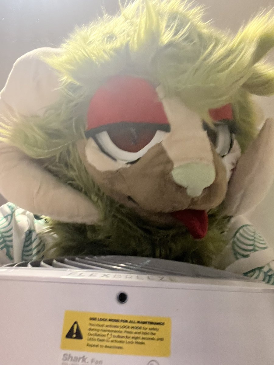 LewdDemonBunny's tweet photo. Got new fan enjoy the silly pics! 

#FursuitsFriday https://t.co/MSyUY7A5g2