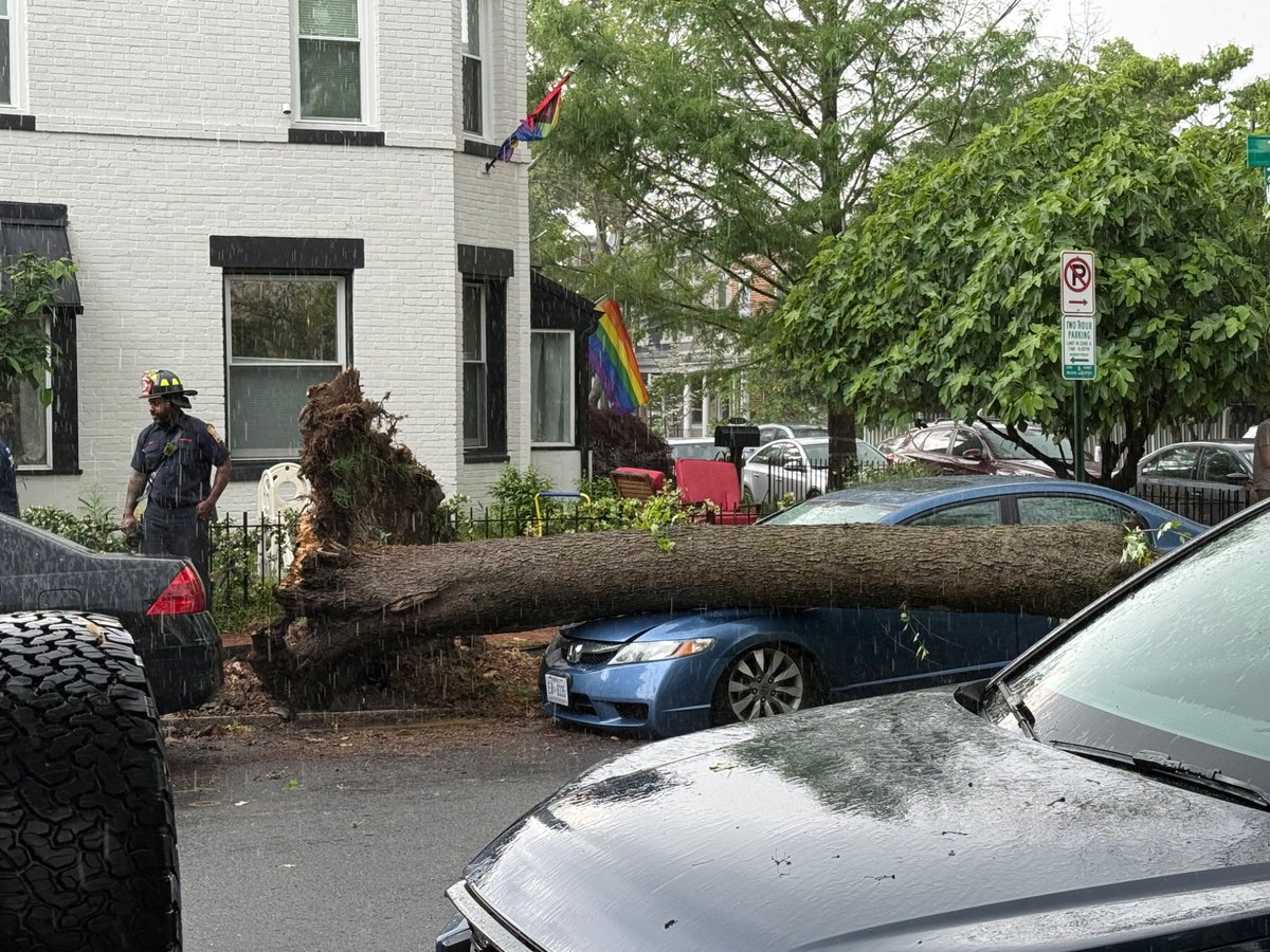 Ash Marshall tweet media