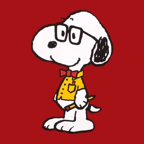 maxversnoopy's tweet image. 