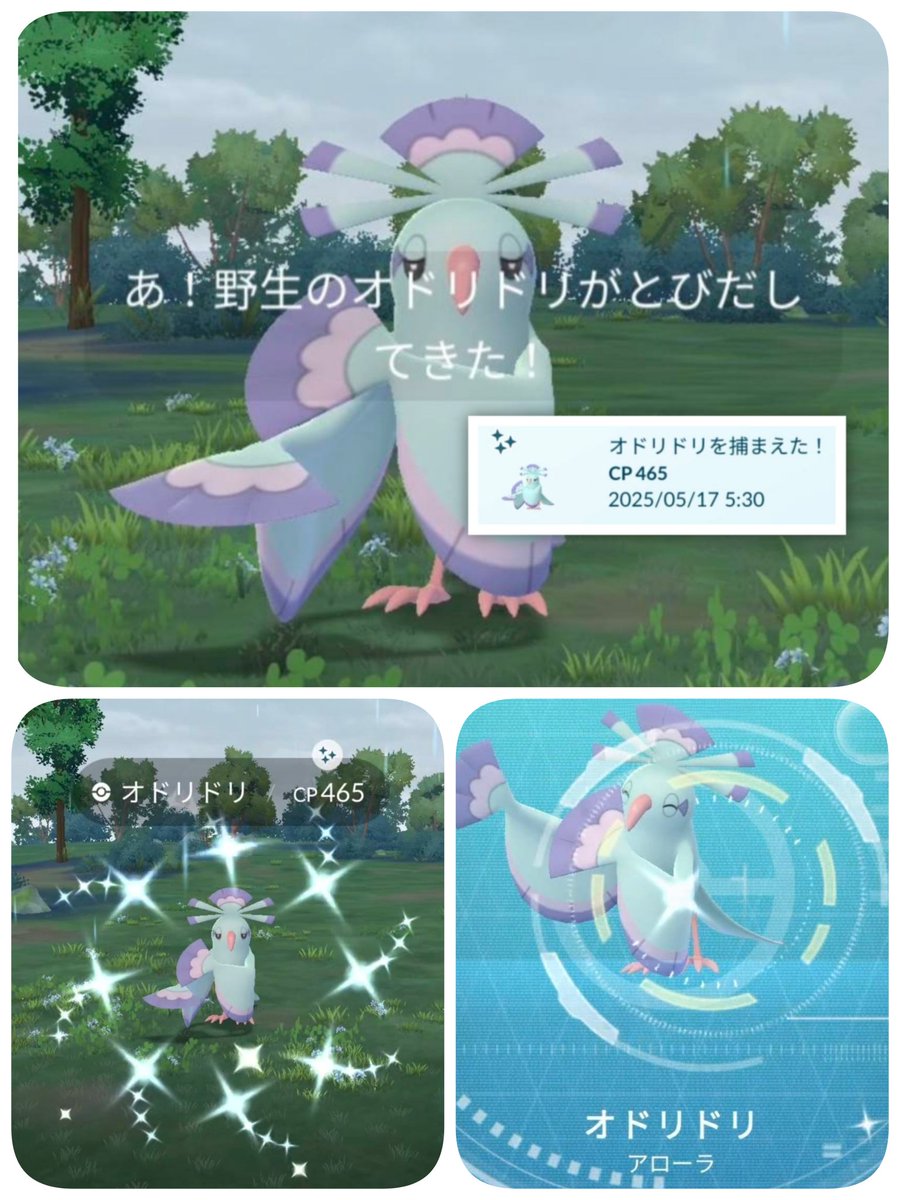 tammy® (っ'-')╮ =͟͟͞͞◓ tweet media