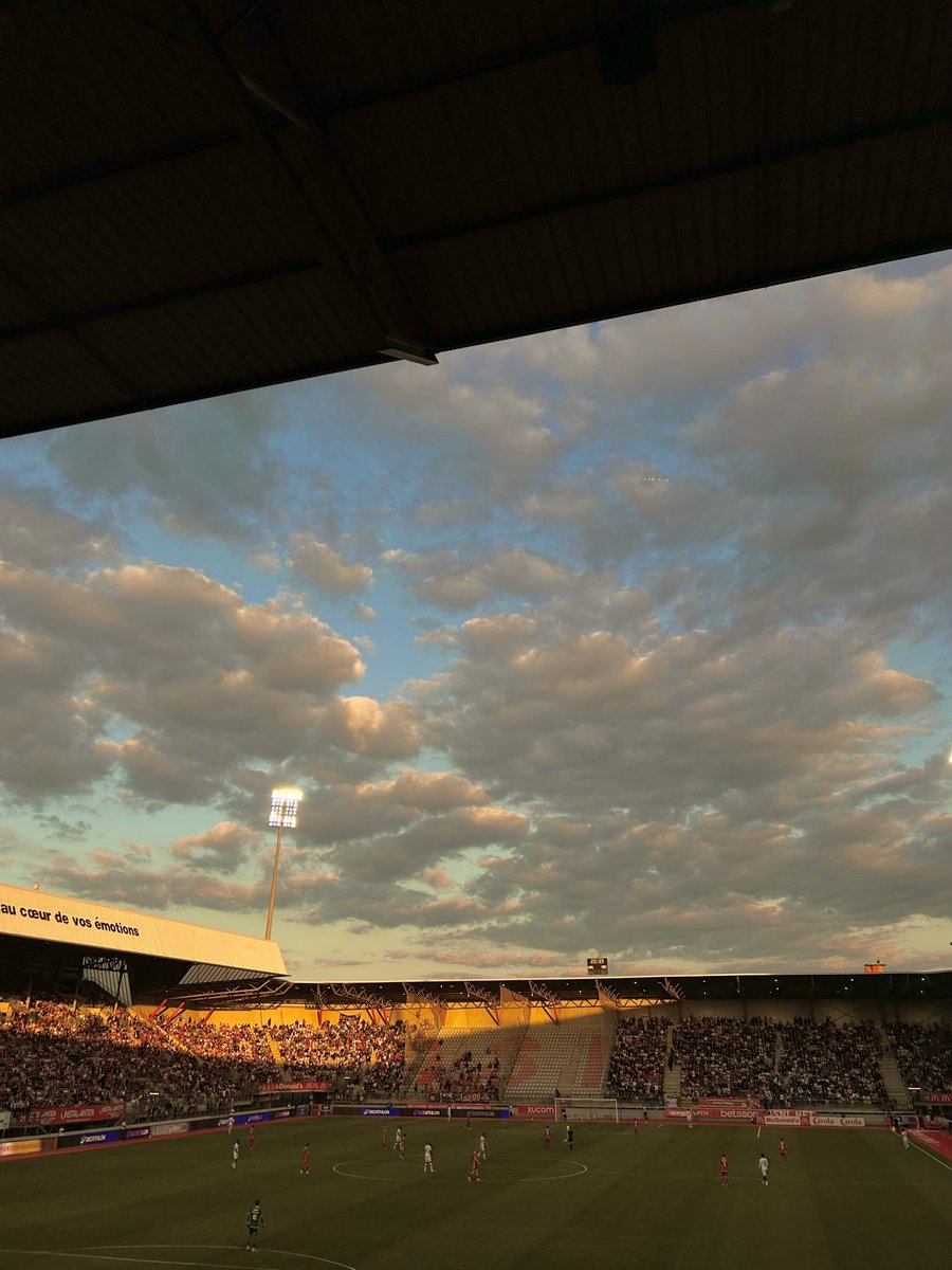 Ժບ🪐🐞 tweet media