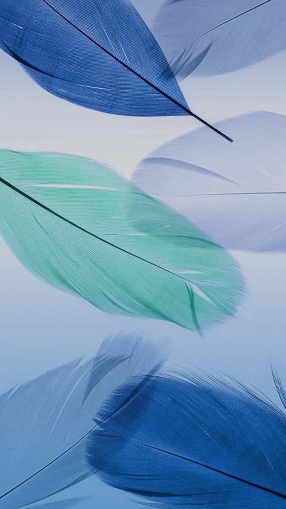 하정 (@haesejung) on Twitter photo 