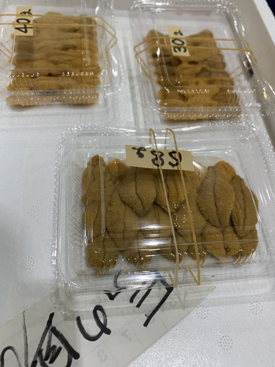 晴れの日 - Search / X