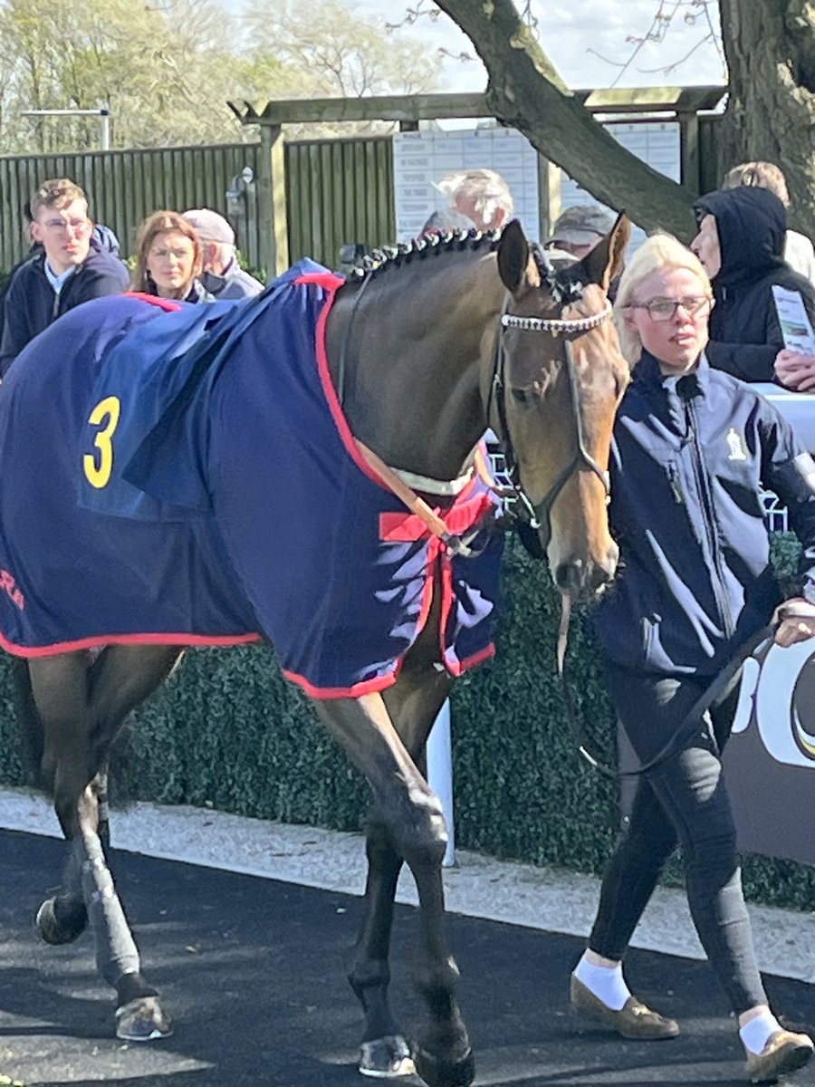 John Ydlibi (@jarydlibi) on Twitter photo Good luck to Arkinthestars who runs in the 3.20pm <a href="/ThirskRaces/">Thirsk Racecourse</a> for <a href="/karl_burke/">Karl Burke</a> and <a href="/NBradleyRacing/">Nick Bradley Racing</a> . Hopefully she can repeat her last runs performance ! Good luck to Arkinthestars who runs in the 3.20pm <a href="/ThirskRaces/">Thirsk Racecourse</a> for <a href="/karl_burke/">Karl Burke</a> and <a href="/NBradleyRacing/">Nick Bradley Racing</a> . Hopefully she can repeat her last runs performance !