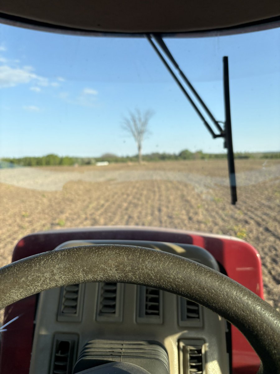 Never fails. Only tree in the field smack in the middle of my AB line