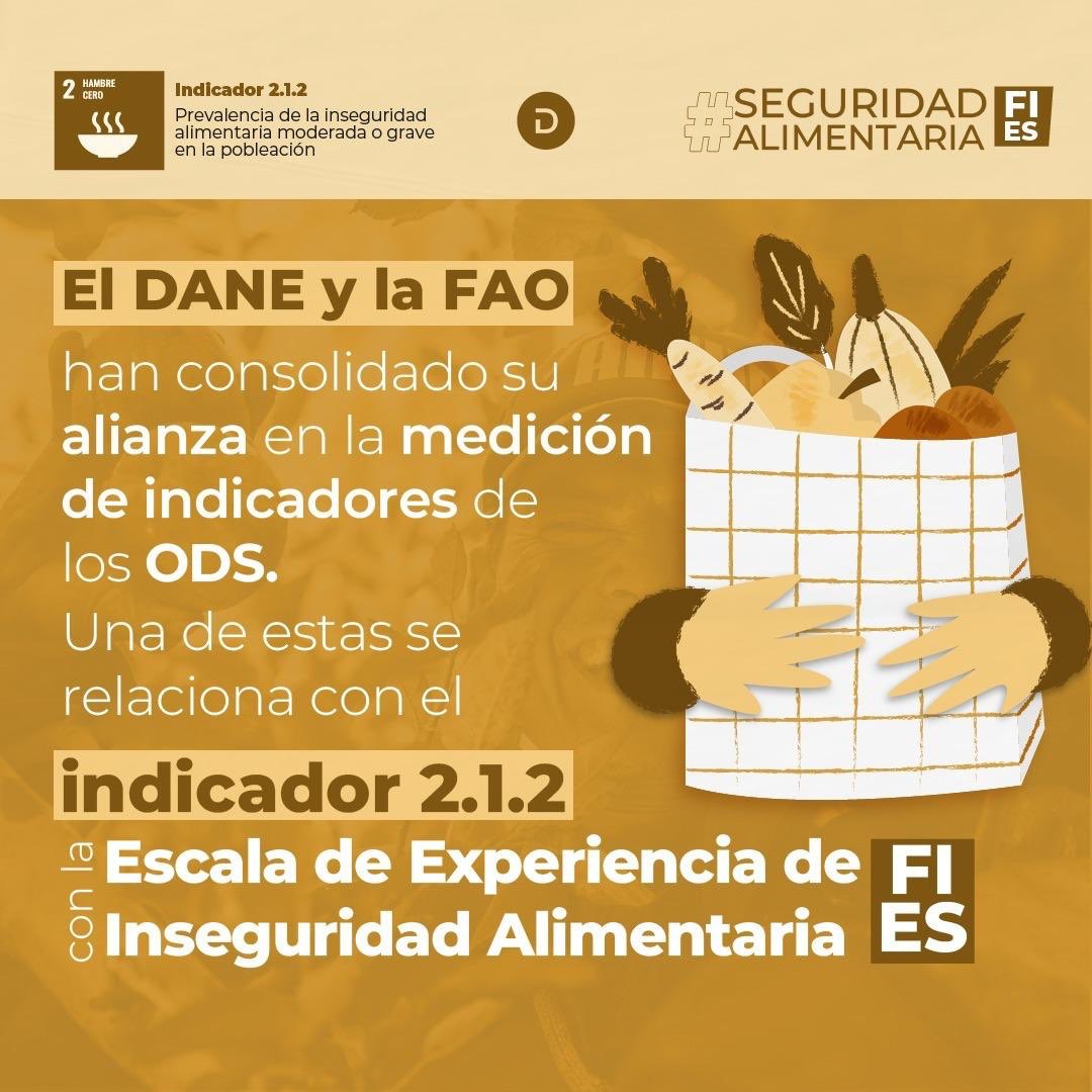 🤝 El DANE, en alianza con <a href="/FAO_Colombia/">FAO Colombia</a>, trabaja en la medición de indicadores de los Objetivos de Desarrollo Sostenible (#ODS).

Desde 2022, se mide el indicador 2.1.2 a través de la Escala de Experiencia de Inseguridad Alimentaria (FIES) 🍽️