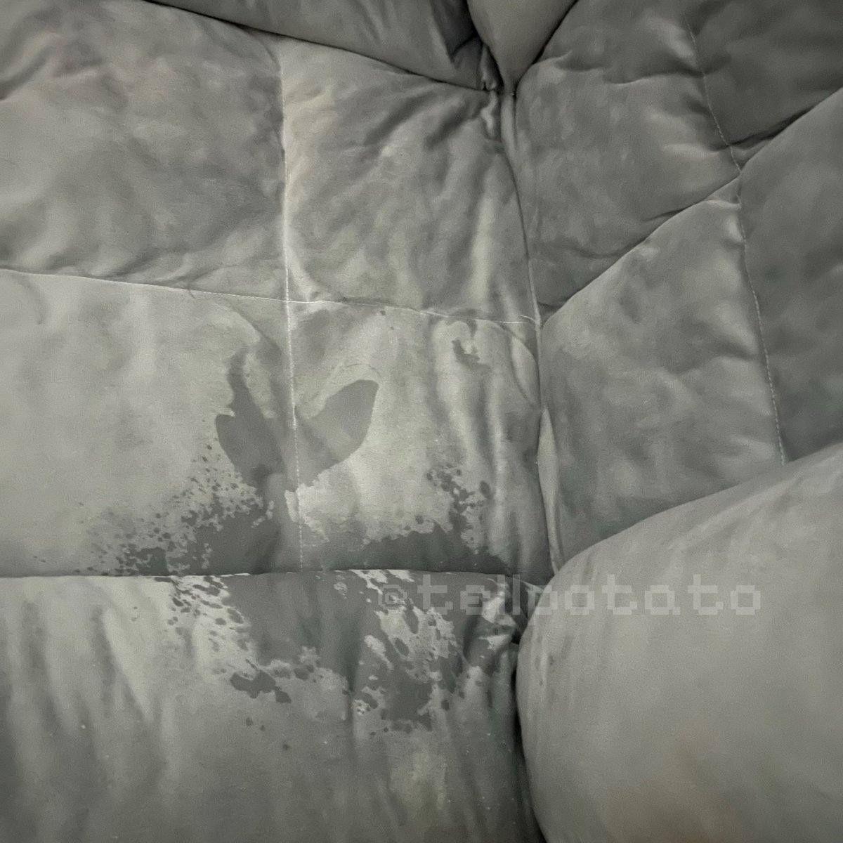 俺昨晚喷喷喷！把小狗床干废了🥹
好开心！我主已成功掌握水龙头开关