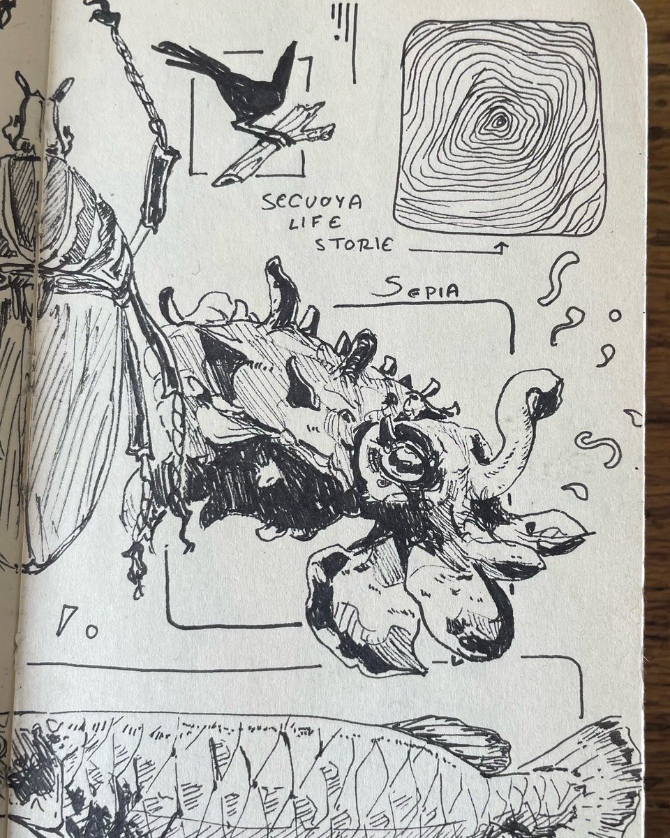 icarus_pal's tweet photo. Recuerdan mi visita a San Francisco hace un tiempo? 
Esta es la página de sketchbook que hice en la Academia de las Ciencias ✺✺✺ 10/10 Te reciben con dinosaurios y tienen sepias vivas 🐙 ✨  El simulador de terremotos si da cosa https://t.co/t5021KppIe