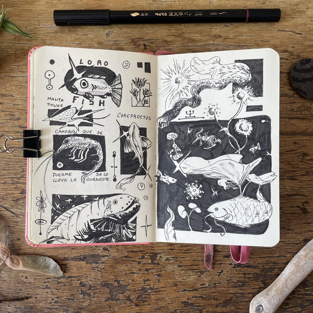 icarus_pal's tweet photo. Recuerdan mi visita a San Francisco hace un tiempo? 
Esta es la página de sketchbook que hice en la Academia de las Ciencias ✺✺✺ 10/10 Te reciben con dinosaurios y tienen sepias vivas 🐙 ✨  El simulador de terremotos si da cosa https://t.co/t5021KppIe