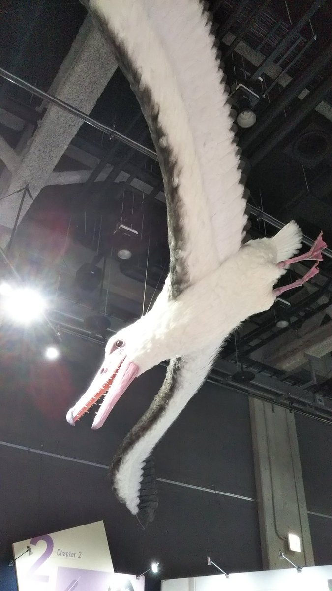 mamam0414's tweet photo. 満喫しました🥰
#鳥展 https://t.co/RQ64A665FR