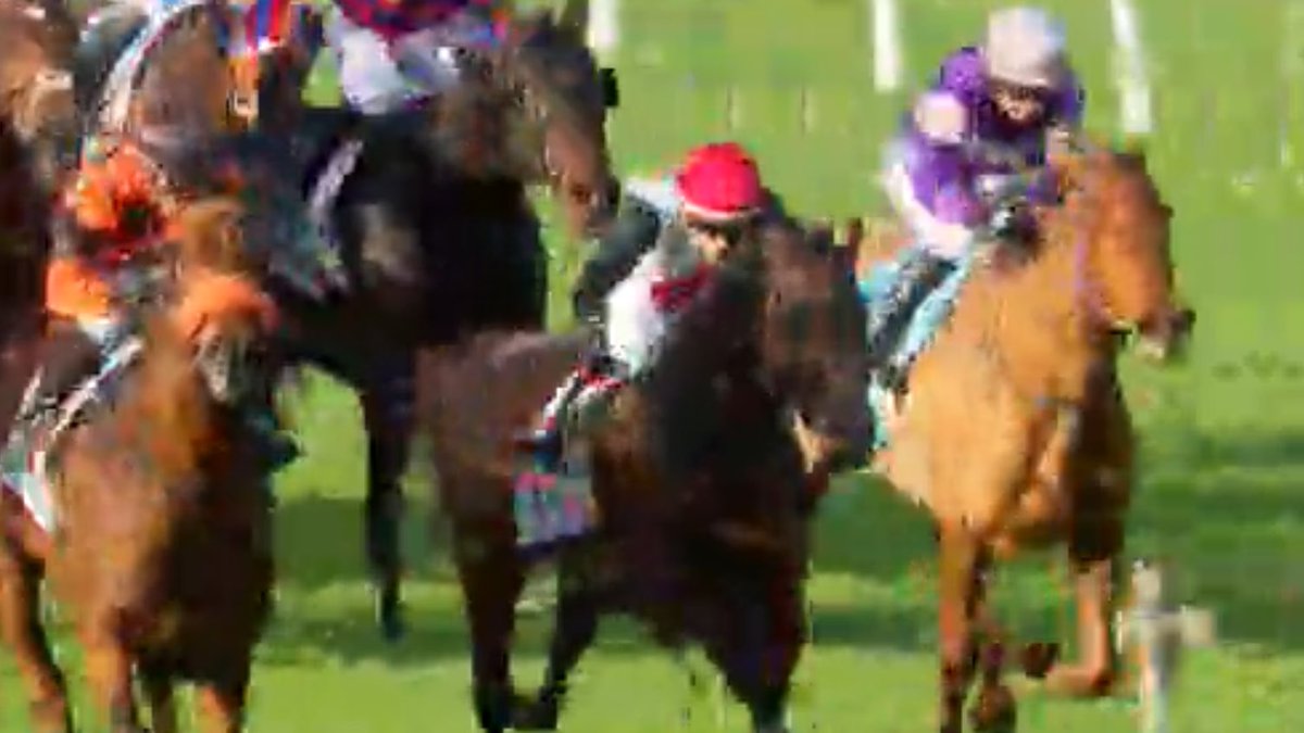 Make it a winning treble today as Francee claims the Listed James Bull Rangitikei Cup with Bruno Queiroz aboard, his first NZ stakes’ win too! NZ Stakes’ win 18  for the season, win 113 - so proud to train this gutsy mare for <a href="/HaunuiFarm/">Haunui Farm</a> thank you for entrusting her to us!