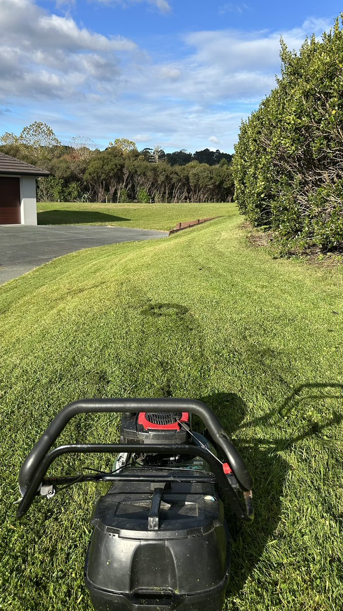 Brian Freitas tweet media