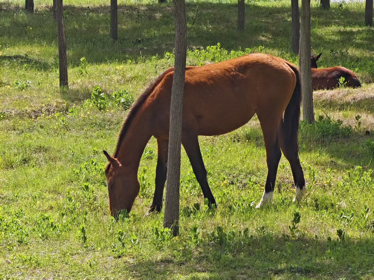 Mingy Guo tweet media