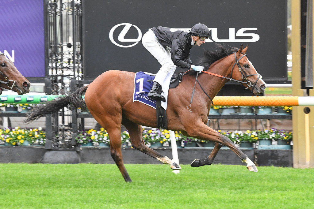 Brisbane bound Highvol scores again > Stakes races in Brisbane are now on the agenda for Highvol after the Nick Ryan-trained galloper maintained his perfect record at Flemington on Saturday
thoroughbrednews.com.au/news/story/bri…