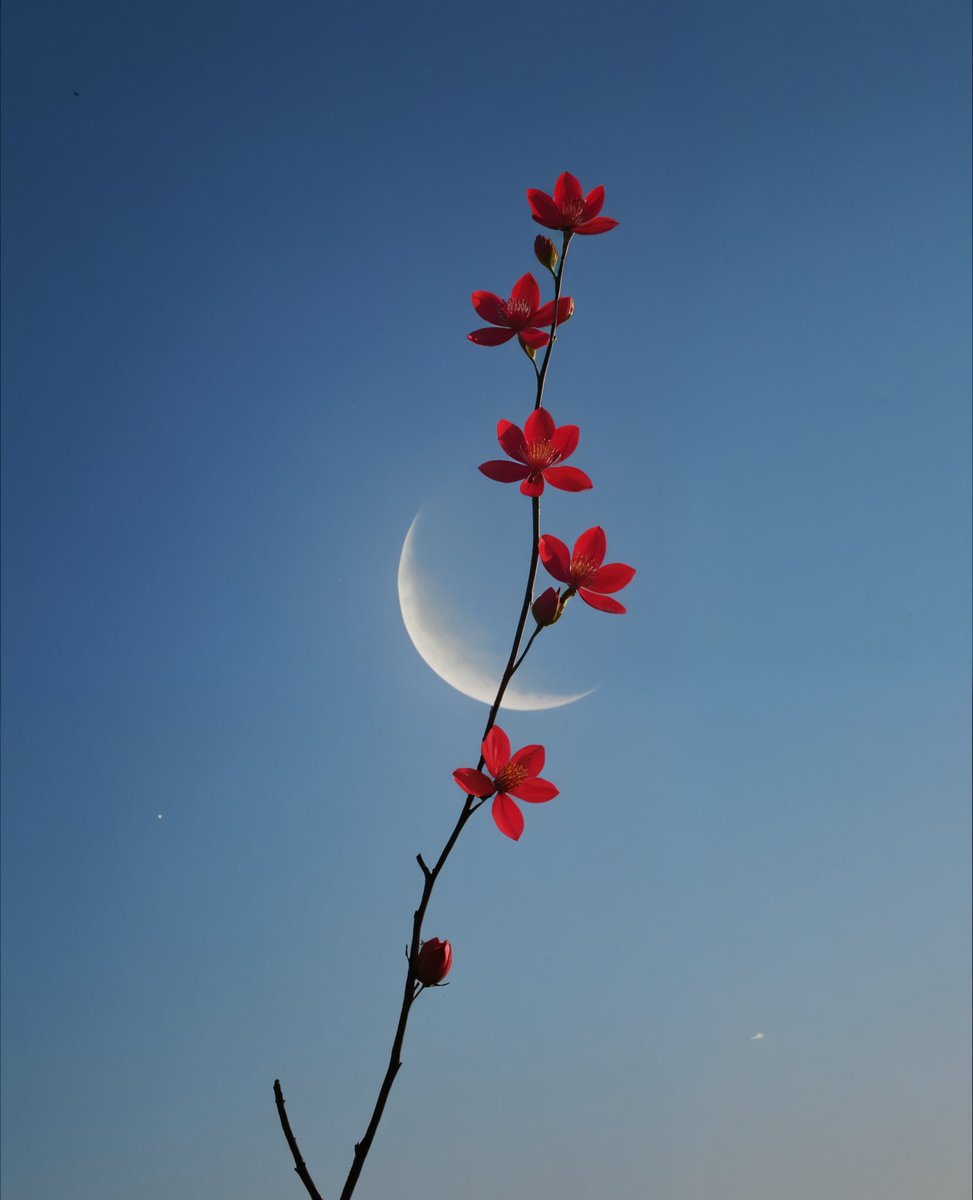 MOON (@dailymoonx) on Twitter photo 