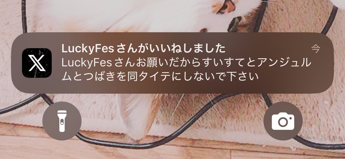 vghytt's tweet photo. LuckyFesさん、これは"期待してもいい"ってことでいいですよね？ https://t.co/MDPSK25HC1