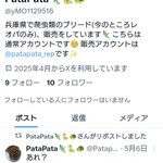 Photo by PataPata🦎🐍🐢 (@PatapataRep)