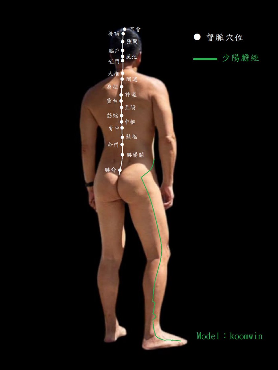 經絡圖
Model：koomwin