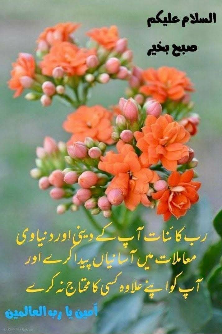 its_samia tweet media