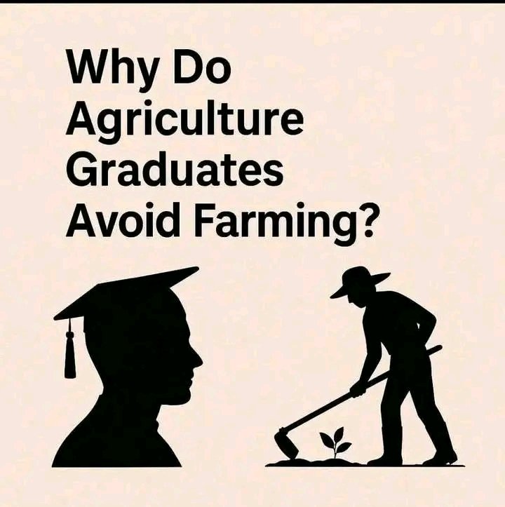 agrcorner (@kwibazag) on Twitter photo 