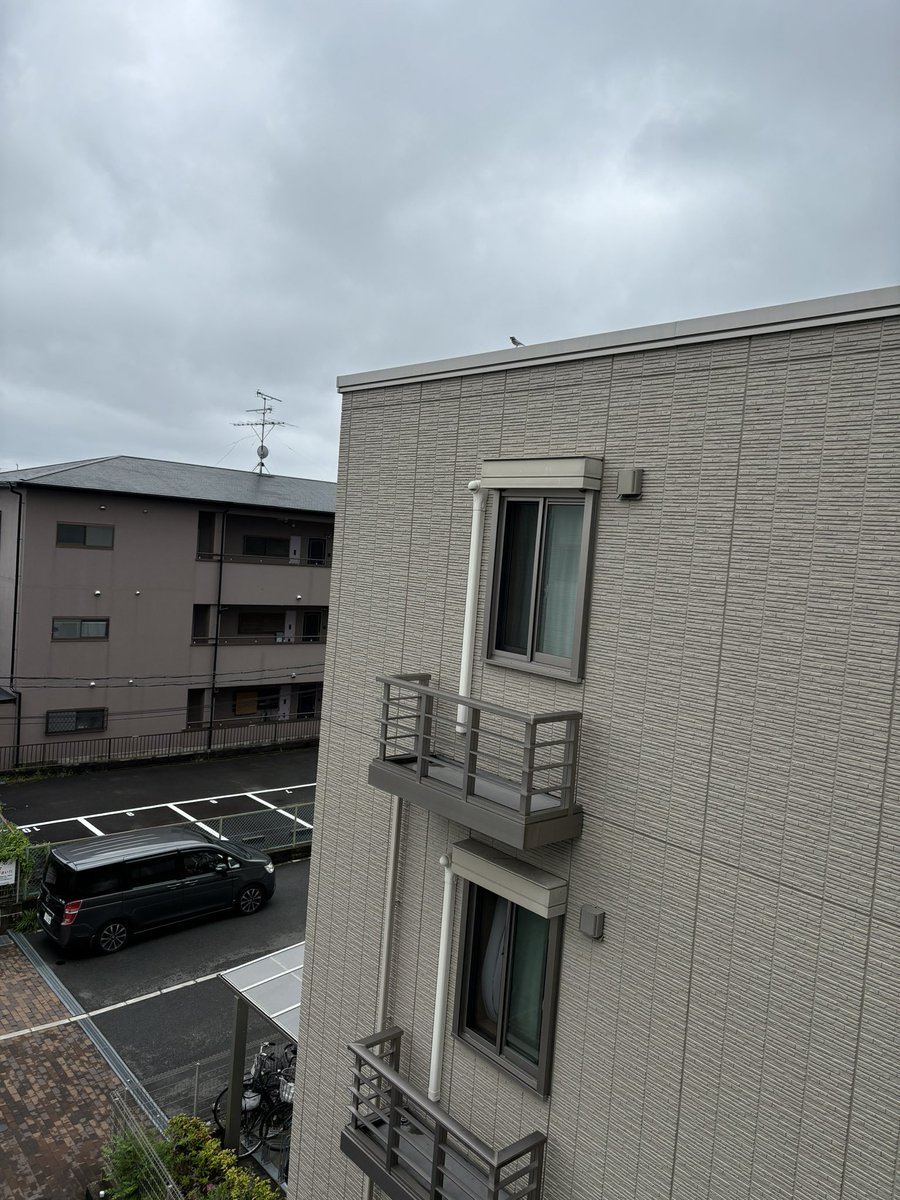 Dead_Blue_poke's tweet photo. こいつほんまグロい https://t.co/dscubhoqUU