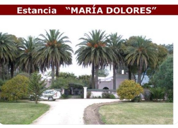 🔴 𝗘𝗦𝗧𝗔𝗡𝗖𝗜𝗔 𝗦𝗘𝗥𝗜́𝗔 𝗱𝗲 𝘂𝗻 𝗗𝗜𝗥𝗜𝗚𝗘𝗡𝗧𝗘 𝗱𝗲𝗹 𝗙𝗔

▶️ La estancia María Dolores fue adquirida en 2007 por Rafelor SA, una empresa del empresario peruano-marroquí Víctor Lumbroso. Pero sería un TESTAFERRO de un ex candidato a diputado del FA por Florida.