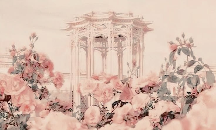 𓏲 ࣪₊♡Lᵒᵛᵉ ᶤˢ 𝐖𝐚𝐫 𖹭.ᐟ tweet media