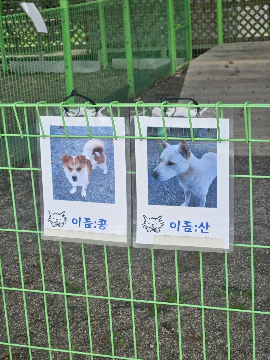 가는 길에 역레발 한 번 심어주고