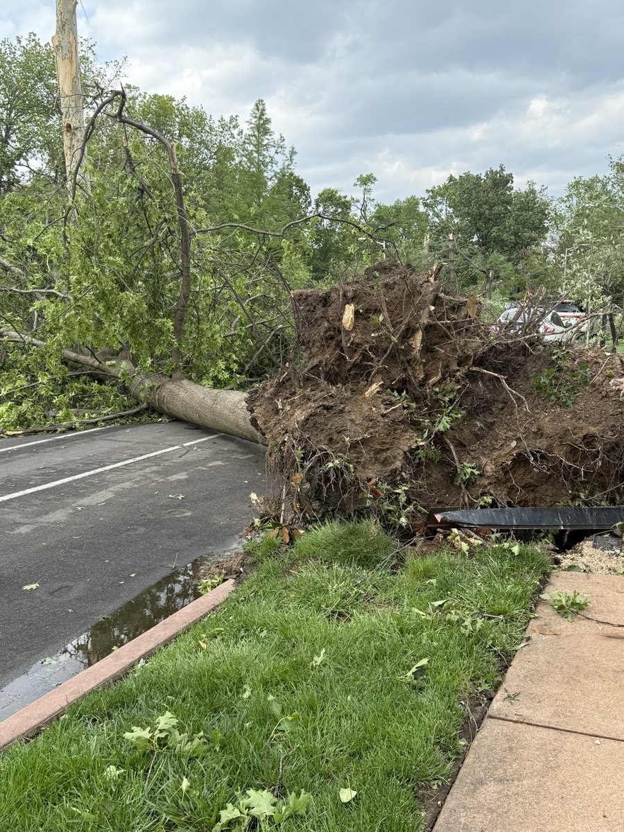 TeddyWilliamsW's tweet photo. 🌪️ https://t.co/a5eqrxgzvq