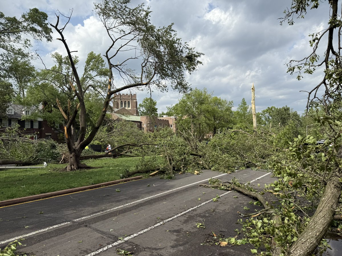 TeddyWilliamsW's tweet photo. 🌪️ https://t.co/a5eqrxgzvq