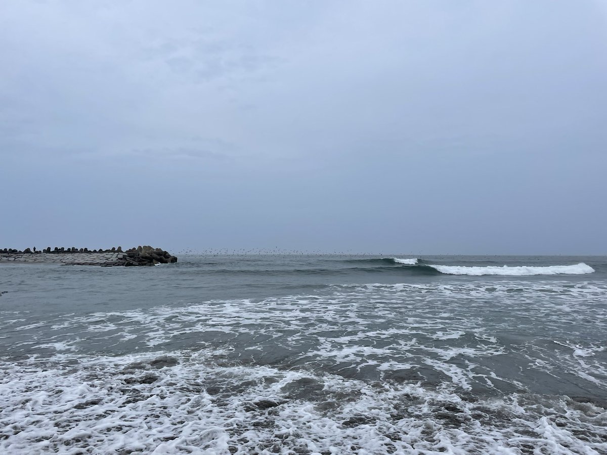 ギブです😃
鳥山あったけど寄っては来なかった🤔
ビチョビチョなので帰ります☔️
#ポコティング