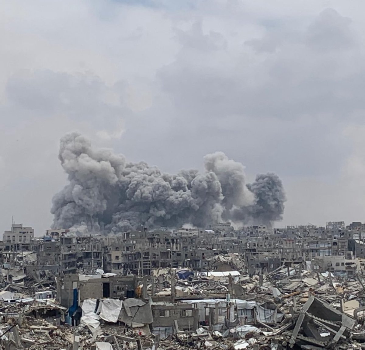 jacksonhinklle's tweet image. Zionism is a crime against humanity.