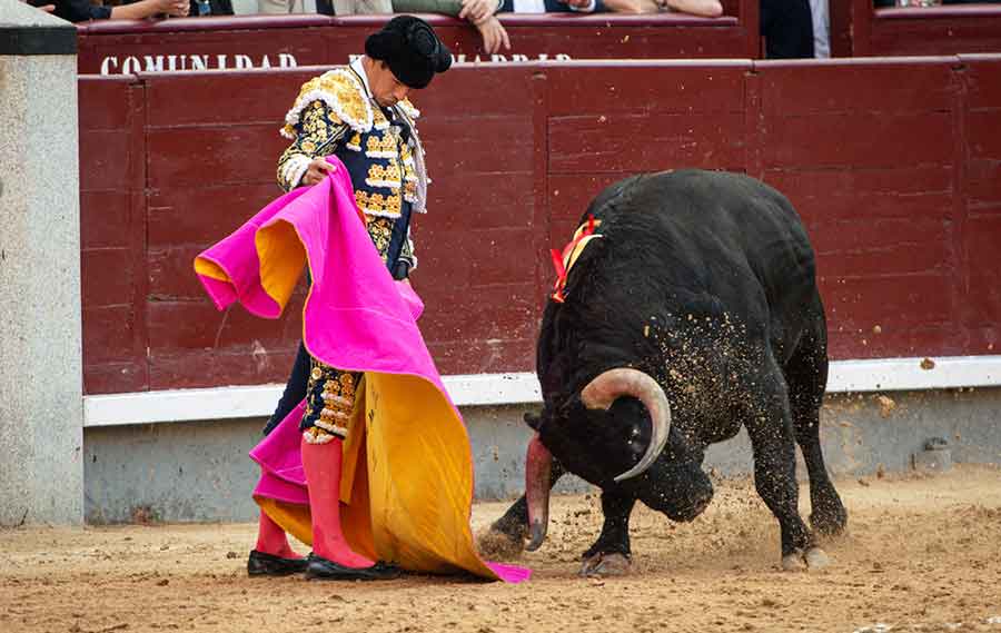 SEVILLA TAURINA (@sevillataurina) on Twitter photo BALANCE de la jornada (viernes).- Pablo Aguado no pasa de sendos silencios en Madrid (sevillataurina.com/2025/05/16/pab…) <a href="/sevillataurina/">SEVILLA TAURINA</a> <a href="/ManoloVieraN/">Manolo Viera</a> <a href="/Toromedia12/">Toromedia</a> <a href="/isanchezmejias/">Ignacio Sánchez-Mejías</a> <a href="/maestranzapages/">La Maestranza-Pagés</a> <a href="/UTAMAESTRANZA/">Unión Taurina de Abonados y Aficionados de Sevilla</a> <a href="/Toroslidia/">Real Unión de Criadores de Toros de Lidia</a> <a href="/luisdepauloba/">Luis De Pauloba</a> <a href="/CTSevilla24/">Club Taurino de Sevilla</a> <a href="/TTUSevilla/">TERTULIA TAURINA US</a> <a href="/pabloaguadocom/">Pablo Aguado▪️Comunicación</a> BALANCE de la jornada (viernes).- Pablo Aguado no pasa de sendos silencios en Madrid (sevillataurina.com/2025/05/16/pab…) <a href="/sevillataurina/">SEVILLA TAURINA</a> <a href="/ManoloVieraN/">Manolo Viera</a> <a href="/Toromedia12/">Toromedia</a> <a href="/isanchezmejias/">Ignacio Sánchez-Mejías</a> <a href="/maestranzapages/">La Maestranza-Pagés</a> <a href="/UTAMAESTRANZA/">Unión Taurina de Abonados y Aficionados de Sevilla</a> <a href="/Toroslidia/">Real Unión de Criadores de Toros de Lidia</a> <a href="/luisdepauloba/">Luis De Pauloba</a> <a href="/CTSevilla24/">Club Taurino de Sevilla</a> <a href="/TTUSevilla/">TERTULIA TAURINA US</a> <a href="/pabloaguadocom/">Pablo Aguado▪️Comunicación</a>