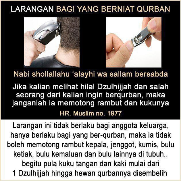 BBG AL ILMU tweet media