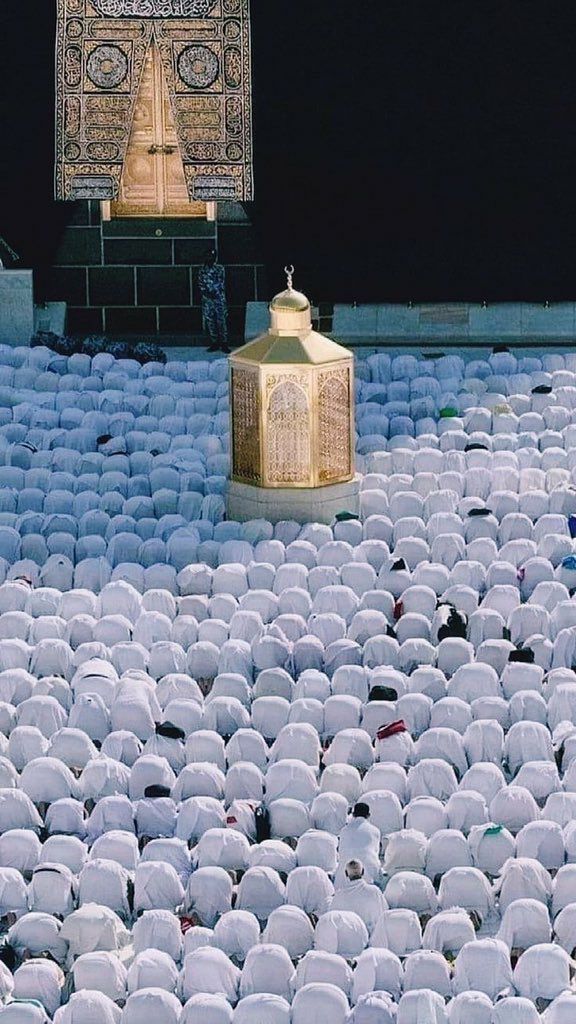 صـــــد𝓈𝒶𝒹𝒶𝒻𝓈𝒽𝑒𝓇𝒾𝒻𝒻فـــ tweet media
