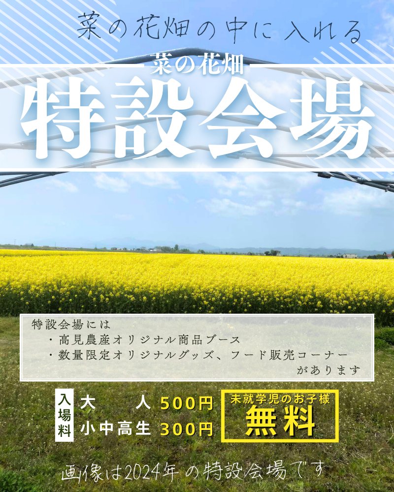 mititaki21's tweet photo. 皆さんこんにちは🙋
道の駅たきかわです

菜の花も次々と開花してまいりましたね！
今日からは待ちに待った菜の花まつりです😍

道の駅たきかわで楽しめることをまとめてみました！ https://t.co/BG2p7UD1S2