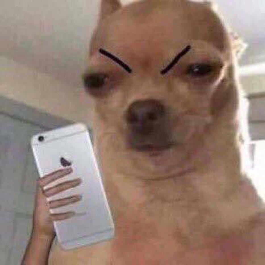 SpiceRatDnB's tweet photo. watching all my friends stories at edc rn https://t.co/R8ZQej5QA8