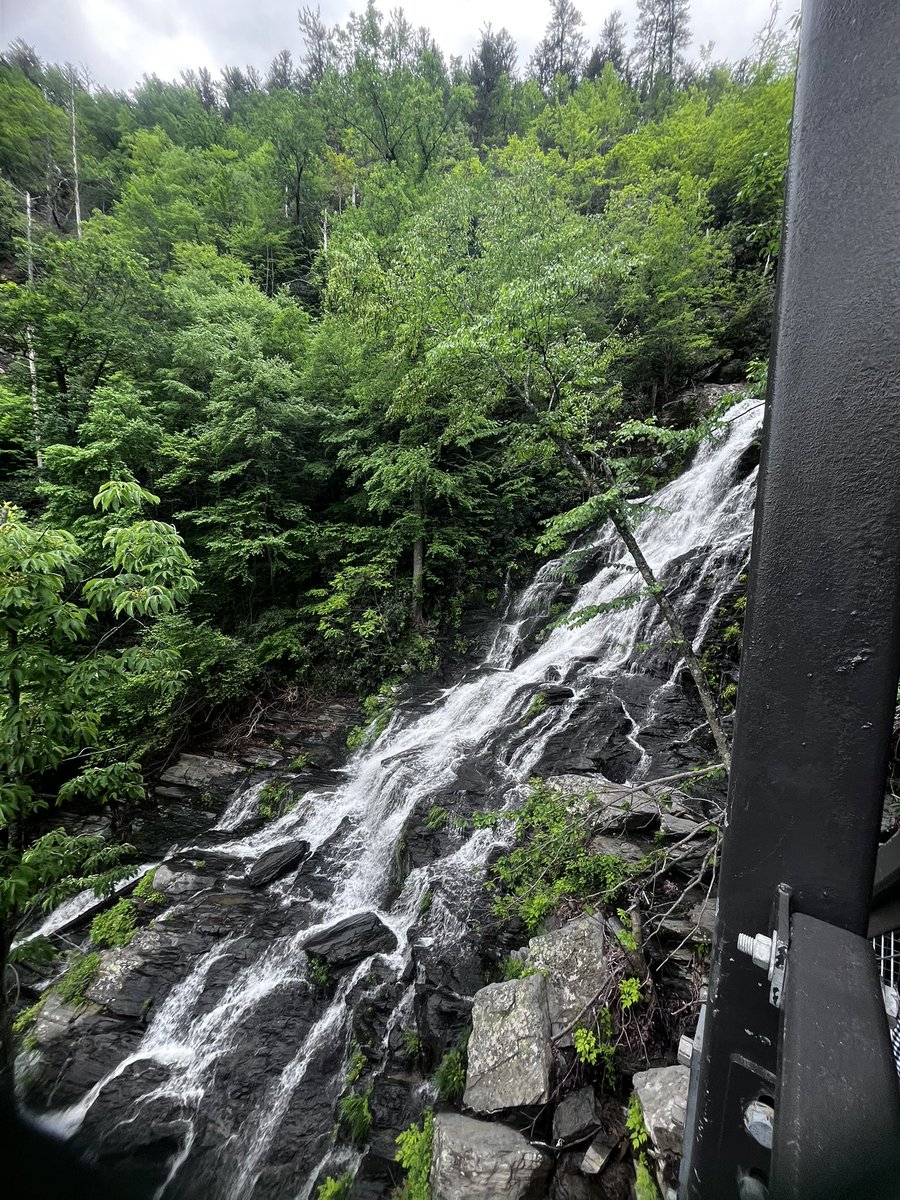 Take the 8th grade to the Biltmore they said. It will be fun they said. 😂

A few hiccups along the way but I wouldn’t trade it. 

Catawba Falls did not disappoint!