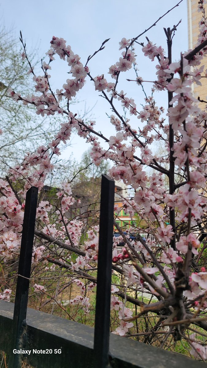 Дандаа чалчаа миний хувьд дуугаа хураана гэдэг бол зэвүүцлийн дээд хэлбэр юм шүү. 

Өглөөний мэнд 🙋‍♀️