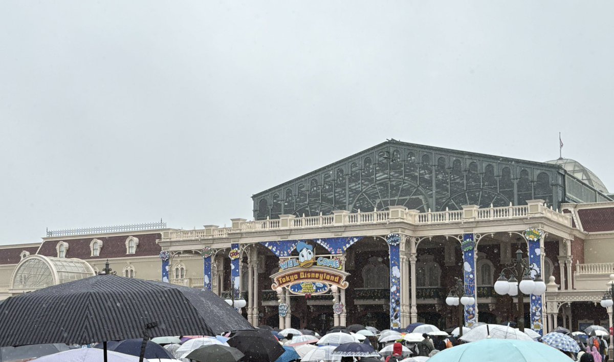 さすがに雨がやばい