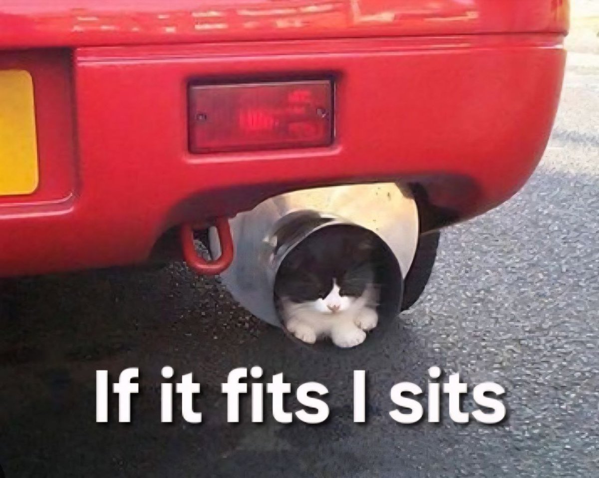 CATBACKSOLANA's tweet photo. @thecexoffender maybe a cat? or a #catback
7Fi6VRUeQ6ckMLmZWfvaJeWGfsCM2baChxyq4XqKpump https://t.co/XEInIBKS8V