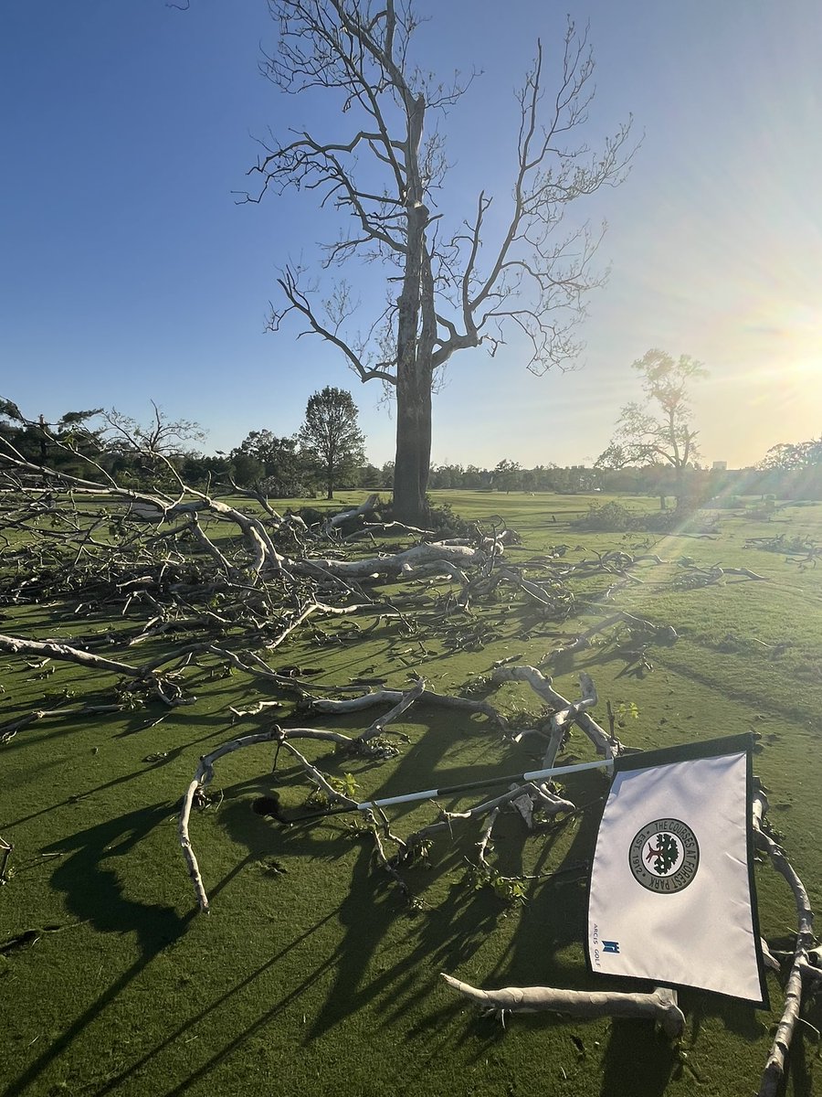 travknows's tweet photo. Aftermath of the tornado that hit #STL 

Forest Park took a direct hit and lost countless trees that are older than the city itself

#stltornado https://t.co/SRNx5ePEyr