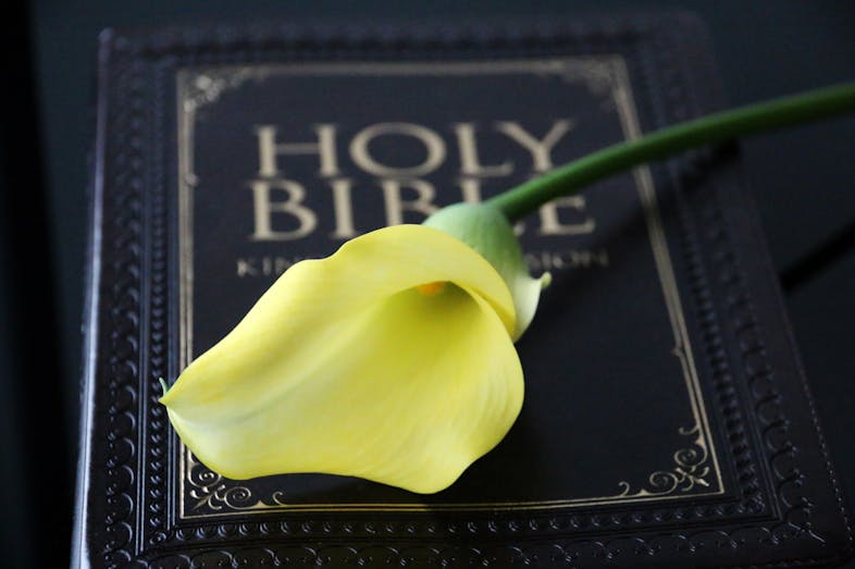 WordLive's tweet photo. Which of all the promises of God have been significant in your life? https://t.co/Wx1ydnd9oq https://t.co/K4xbzLLCKl